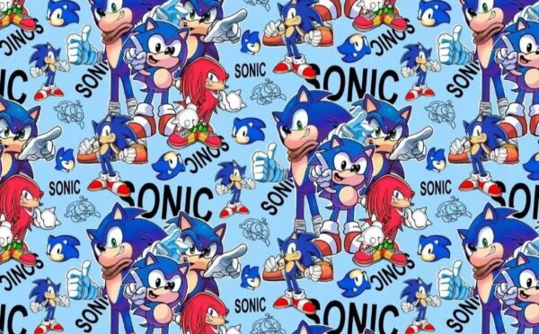 Teplákovina Sonic